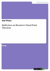 Reflection on Brouwer's Fixed Point Theorem