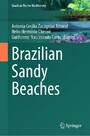 Brazilian Sandy Beaches
