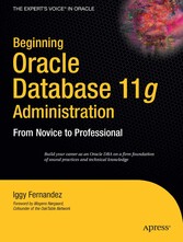 Beginning Oracle Database 11g Administration - From Novice to Professional